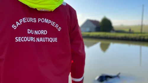 Bourbourg : une voiture tombe dans le canal de l’Aa, deux personnes...